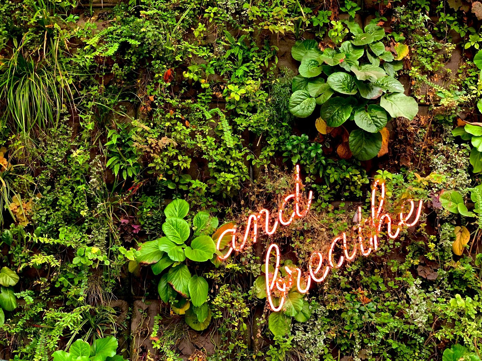 a sign that says and the plants are growing on the wall