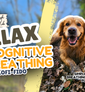Cognitive breathing lofi fido